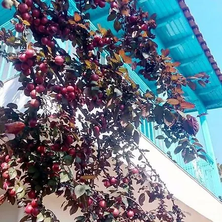 Casa Antonia *