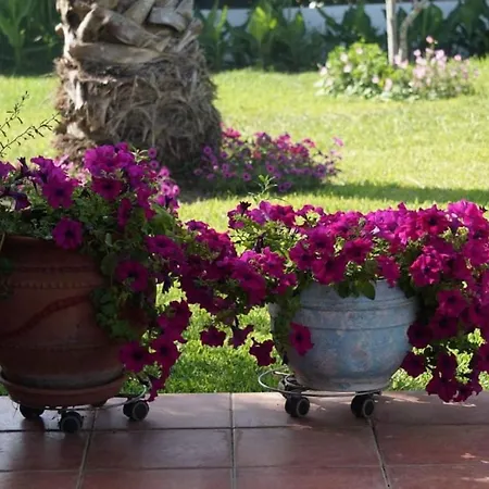 Casa Antonia Βίλα *